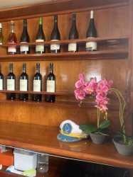 Wycieczka rejs Waterworld z Protaras: Zatoka Żółwi i Blue lagoon